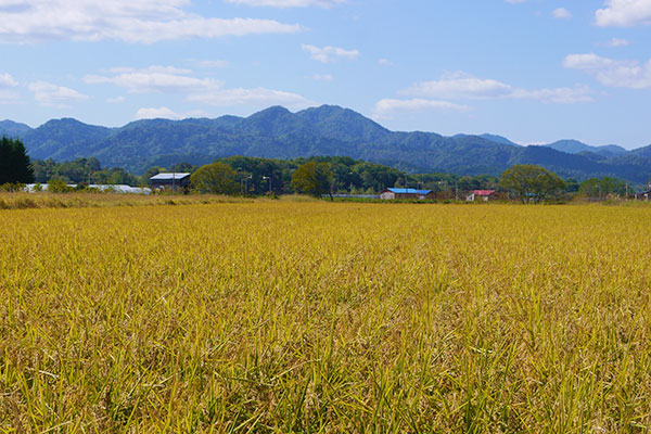 厚沢部町の四季　秋